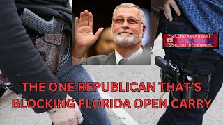 The One Republican Thats Blocking Florida Open Carry [upl. by Orips]