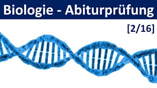 Biologie Abiturprüfung 2025  Tipps und Aufgabentypen 22  Abitur Biologie 216 [upl. by Trela414]