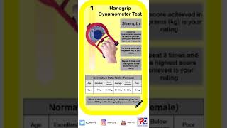 AQA FITNESS TESTING 1 HAND GRIP DYNAMOMETER TEST [upl. by Collin]