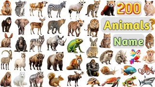 Animals Vocabulary ll 200 Animals Name In English With Pictures ll All Animals Name In English [upl. by Elinor]