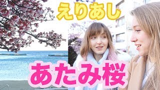 【えりあし】熱海の旅！桜見たくて来ちゃいました！あたみ桜満開🌸🌸🌸 [upl. by Innes]