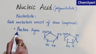 Nucleic Acid  Biomolecules Class 12 Chapter 14 [upl. by Tiersten]