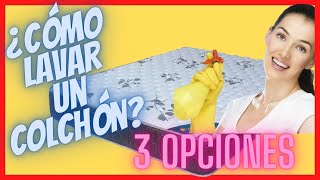 ✨ Cómo Lavar Un Colchón  3 Opciones Fáciles para Limpiar Manchas 👍😷 [upl. by Kcirevam]