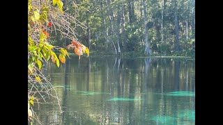 Silver Springs Park and Glass Bottom Boats [upl. by Kerianne]