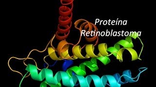 MolBiol La proteína Retinoblastoma y el G1 checkpoint [upl. by Arimay]