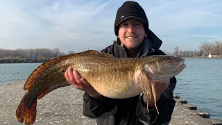 Catching a RARE Fish BURBOT in LAKE ERIE Catch and Cook EELPOUT [upl. by Spencer]