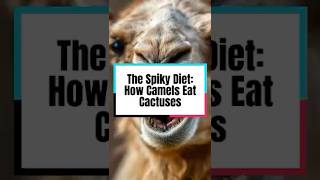 The Spiky Diet How Camels Eat Cactuses shortvideo shorts short [upl. by Nadnarb]