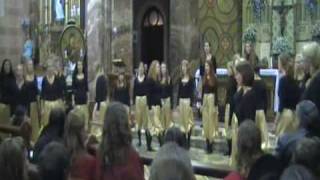 quotSommersalmequot with Aarhus Girls Choir [upl. by Nisaj]