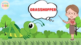 Grasshopper Facts For Kids 😊 Learn All About Grasshoppers  MON Kids [upl. by Pogah]