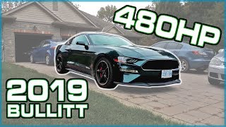 2019 Ford Mustang BULLITT First Drive Reaction I NEED a V8 in my life now [upl. by Nnaear443]