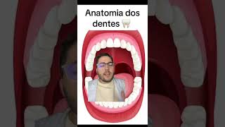 ANATOMIA E FUNÇÃO DOS ELEMENTOS DENTÁRIOS VIDEO AULA biologiaeetccomlauristonso8476 [upl. by Redford]