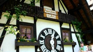 Worlds Largest Cuckoo Clock Schonach [upl. by Lamphere]