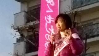 山梨２区 堀内のりこ街頭演説 石破茂地方創生担当大臣 2014衆院選 [upl. by Rebak]