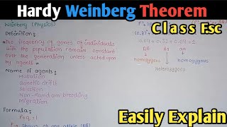 HardyWeinberg Equilibrium [upl. by Yerdna]