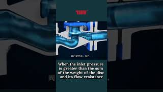 Introduction of Swing Check Valve [upl. by Ayikahs181]