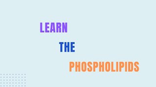 Learn The Phospholipids Biochemistry Microbiology Biotechnology [upl. by Pleione]