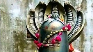 शिव चर्चा भजन ll 🙏❤️🥰🙏 ll trending shortsfeed shortsvideo Shivcharcha shivbhajan2024 vairal [upl. by Mavis]