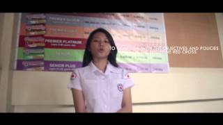 Red Cross Youth Pledge [upl. by Ahsinut392]