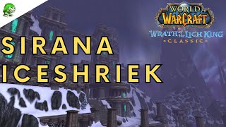 Wotlk Classic Sirana Iceshriek [upl. by Lede]