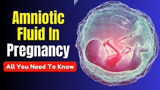 What is Amniotic Fluid During Pregnancy The Importance of Amniotic Fluid in Pregnancy [upl. by Koenig]