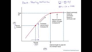 The Frank Starling mechanism [upl. by Balliett103]