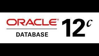 Solve the Error in invoking target all no orcl of makefile in Oracle DB 12c in Ubuntu 15041404 [upl. by Una]