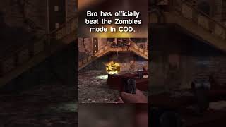 How to beat Call of Duty Zombies 😂 [upl. by Atineb216]