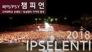 고려대 입실렌티 싸이 챔피언 3만명 역대급 떼창  PSY Champion Live  IPSELENTI [upl. by Azyl511]