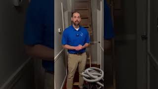 What is the Process to Remediate Attic Mold [upl. by Scott]