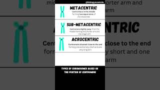 Types of Chromosomes [upl. by Spaulding]