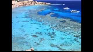 Red Sea holidays  Shaspo Tours [upl. by Florri709]