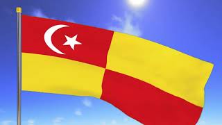 Flag of State of Selangor Selangor Darul Ehsan [upl. by Nevsa]