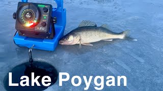 FIRST ICE Lake Poygan Walleyes amp White Bass [upl. by Nivle]