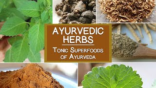 Ayurvedic Herbs The Tonic Superfoods of Ayurveda [upl. by Eedna]