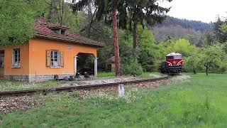 Fast train quotRodopiquot Dobrinishte  Septemvri passing abandoned stop Pashovi [upl. by Nagram597]