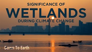 World Wetlands Day 2022 Importance of wetlands at the time of climate change [upl. by Aba622]