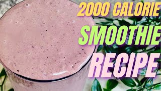 2000 Calorie Shake 976g Of Protein [upl. by Nois707]