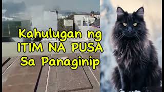 KAHULUGAN NG ITIM NA PUSA SA PANAGINIP [upl. by Rehpetsirhc]