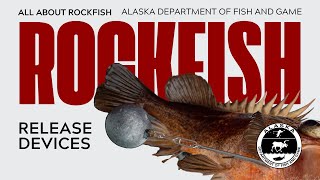 Rockfish Release Devices [upl. by Enileuqcaj752]