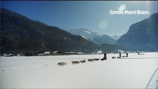 Chiens de traîneaux à Samoëns [upl. by Dyol]