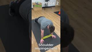 One Essential Exercise for Serratus Anterior  Plank to Pike with Bands for Shoulder Impingement [upl. by Arua811]