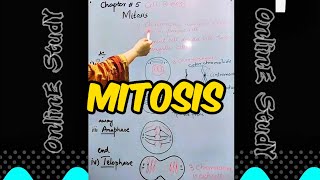 quotUnderstanding Mitosis Cell Division Explained with Diagrams MitosisExplained BiologyLecture [upl. by Reteid85]