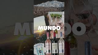 TRIVENTO ES EL VINO ARGENTINO NÚMERO 1 DEL MUNDO [upl. by Carolina447]