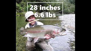 XTREME TENKARA TROUT FISHING 28 in  66 lbs [upl. by Eitsrik765]