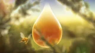 Manuka honey every precious drop [upl. by Dranel]