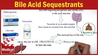 Pharmacology CVS 32 Antihyperlipidemic Drugs  4 Bile Acid Sequestrants  Cholestyramine [upl. by Enuahs]