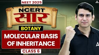 Molecular Basis of Inheritance Class 12  NCERT सार  Full Biology Revision  Param sir [upl. by Adnohsal888]