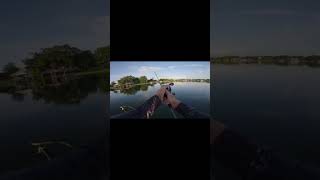 Fishing with Wolf Packs of BASS wolfpack bassfishinglife fishingvideo [upl. by Meris]