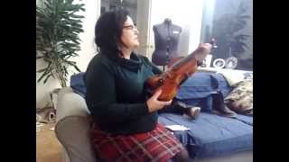 Violin Stentor Messina [upl. by Nylassej255]