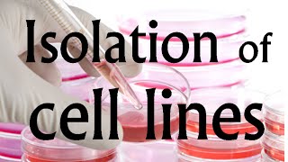 Cell culture techniques 2  Isolation of cell lines for in vitro culture [upl. by Bennet]